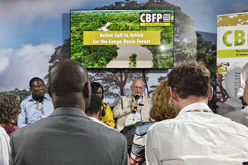 Belgium pledges €5 million to protect Congo Basin forests