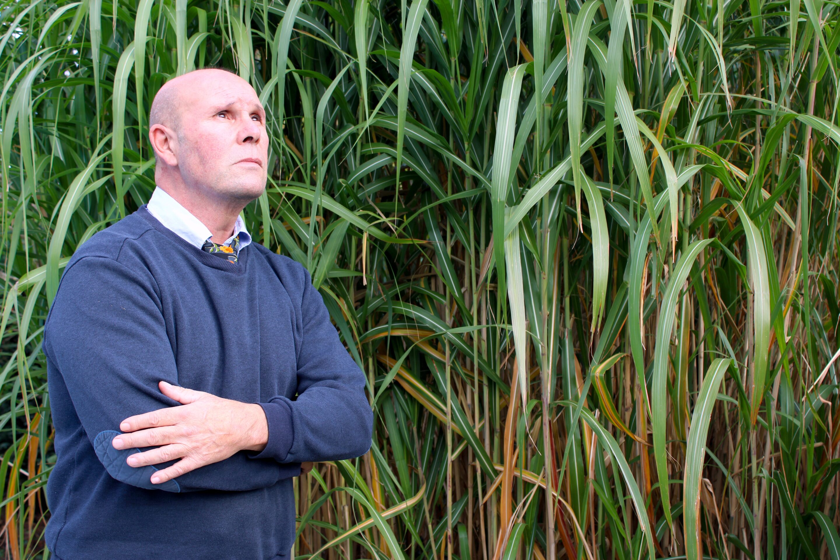 Bosman: A Belgian footballer’s battle with the beautiful game