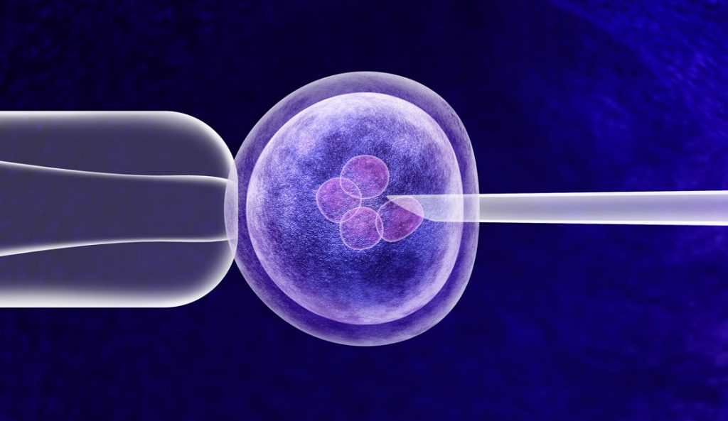 Scandal as sperm carrying deadly cancer gene used to conceive almost 200 European children
