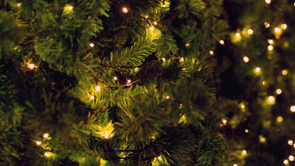 Christmas lights, candles: How to avoid common festive fire hazards