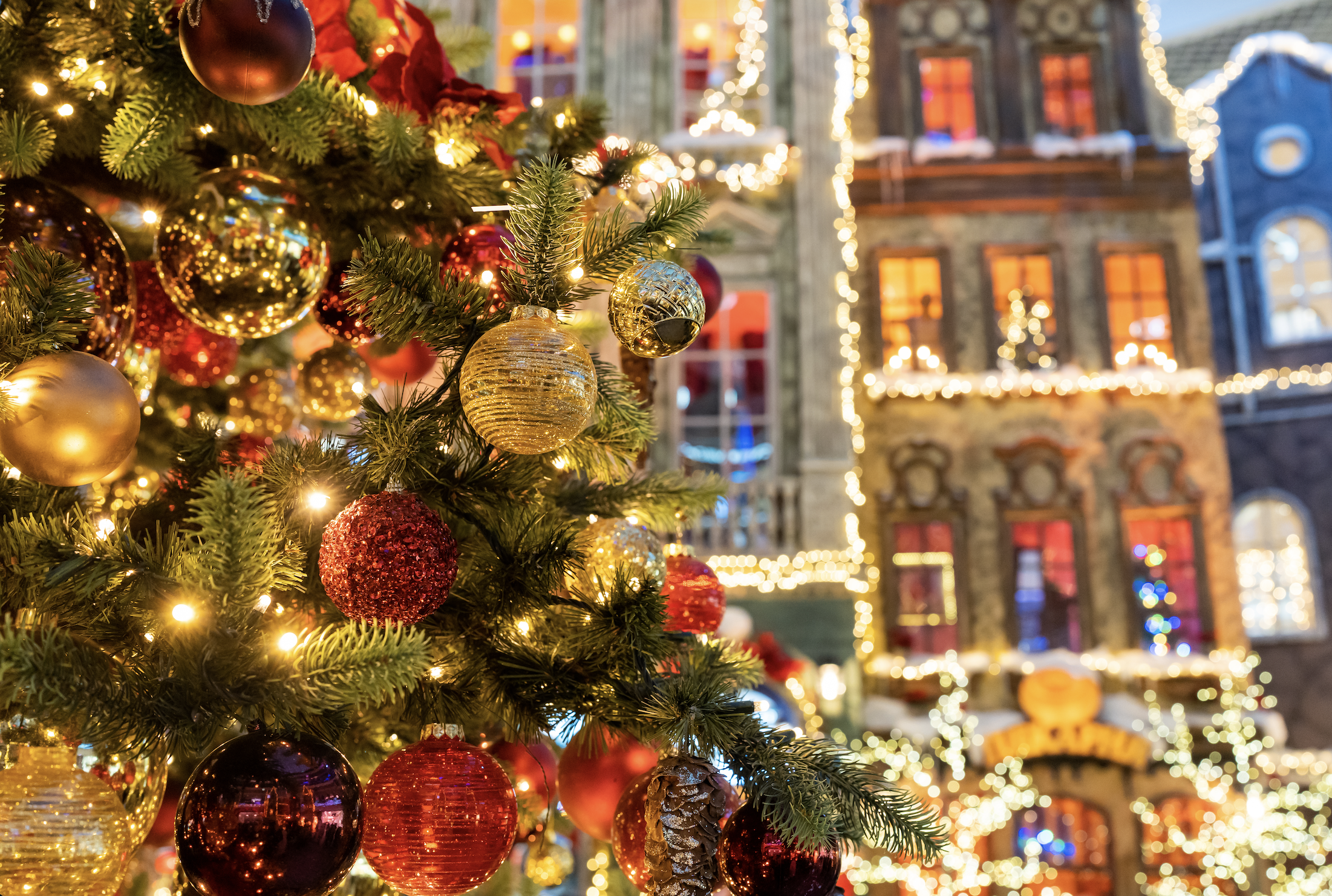 Too soon for tinsel: A cautionary tale to not celebrate Christmas early