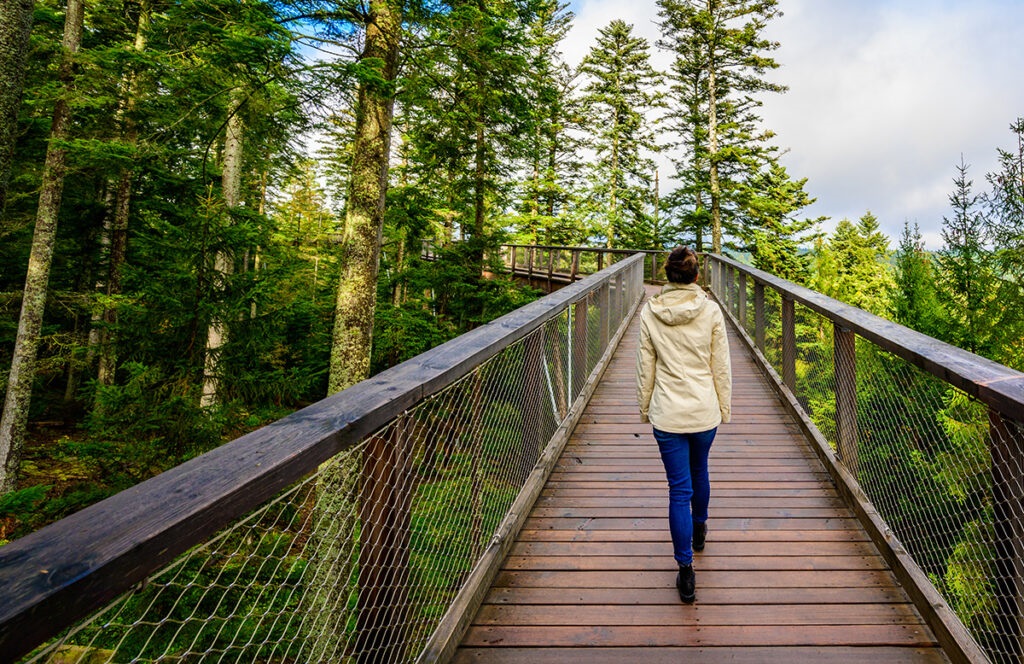 Auditors question impact of EU’s LIFE strategic projects on environment and nature