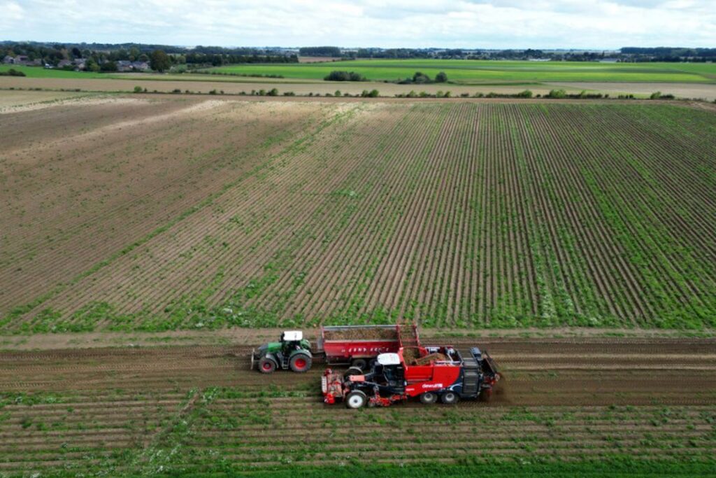 Flanders did not fully incorporate European pesticide use rules, court finds