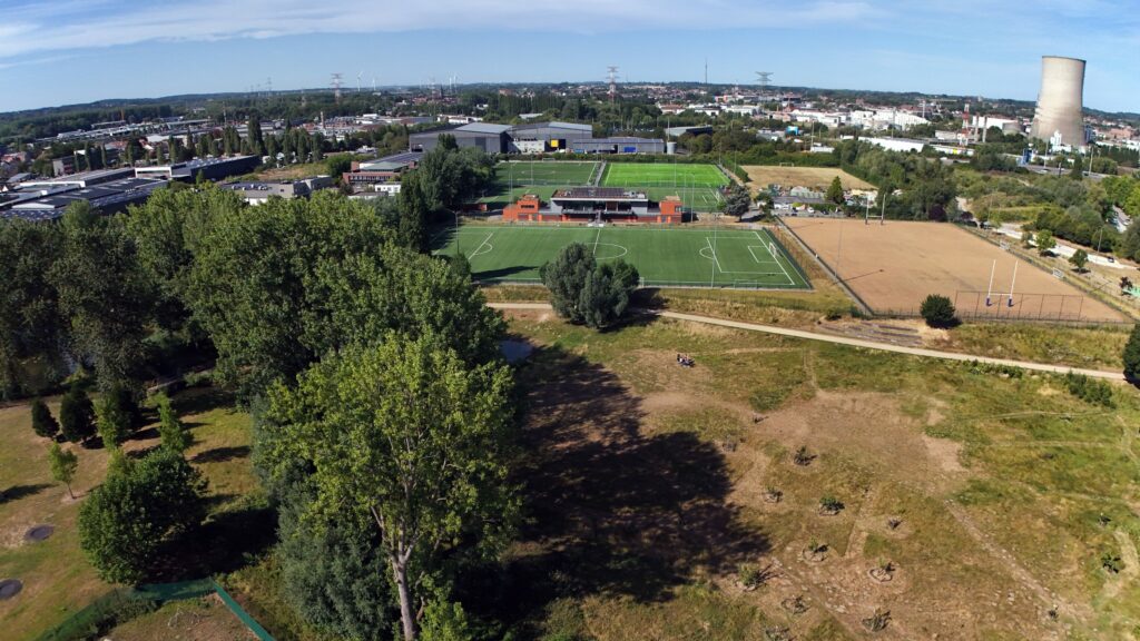 Union Saint-Gilloise 'told to build hedgehog shelters' as part of new stadium plans