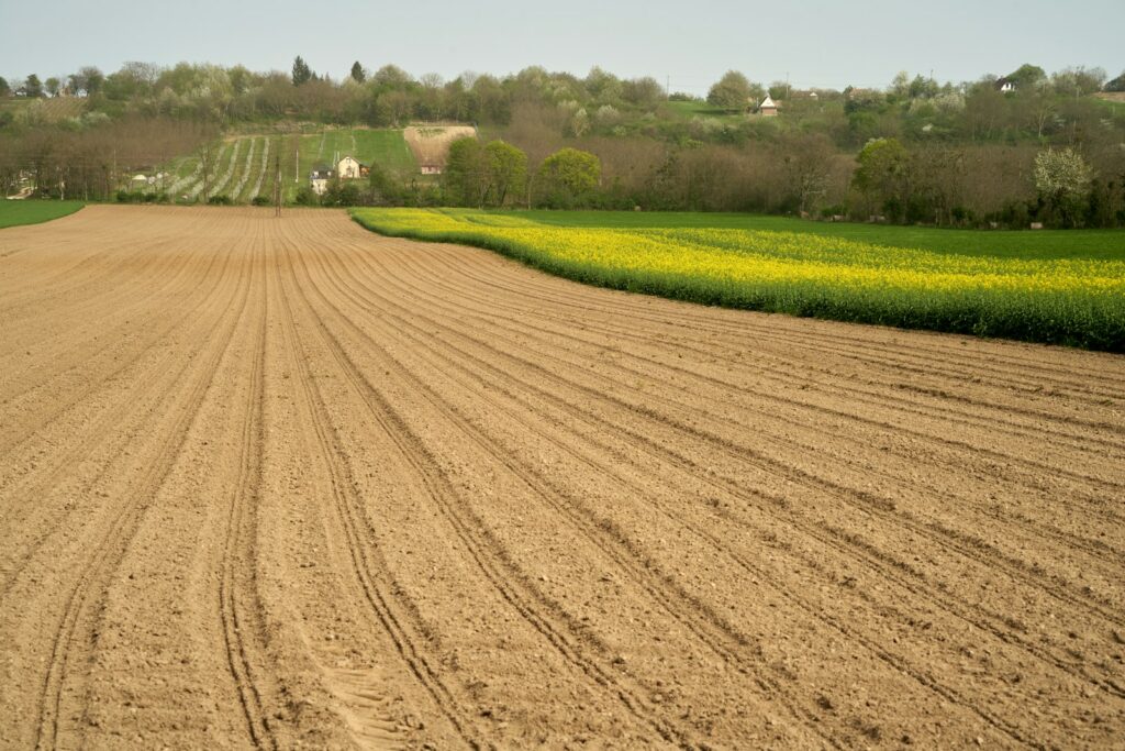 Arable land prices surge across EU, revealing stark national inequalities