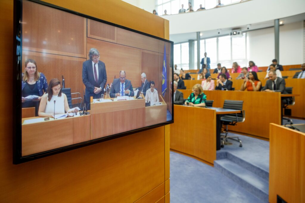 Parliament will ask citizens to examine how to clean up Brussels