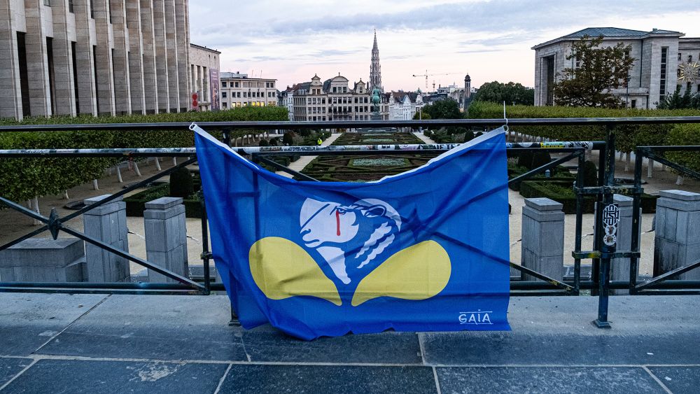 Animal welfare: Brussels’ political blind spot