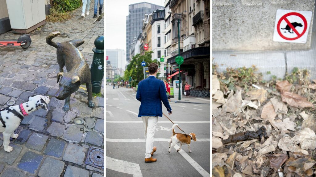 Belgium in Brief: Merde alors