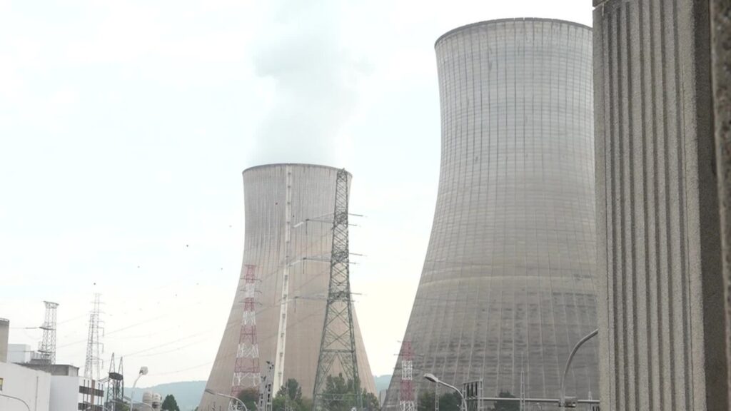 Legal challenge brings restarting one of Belgium's oldest nuclear reactors back in question