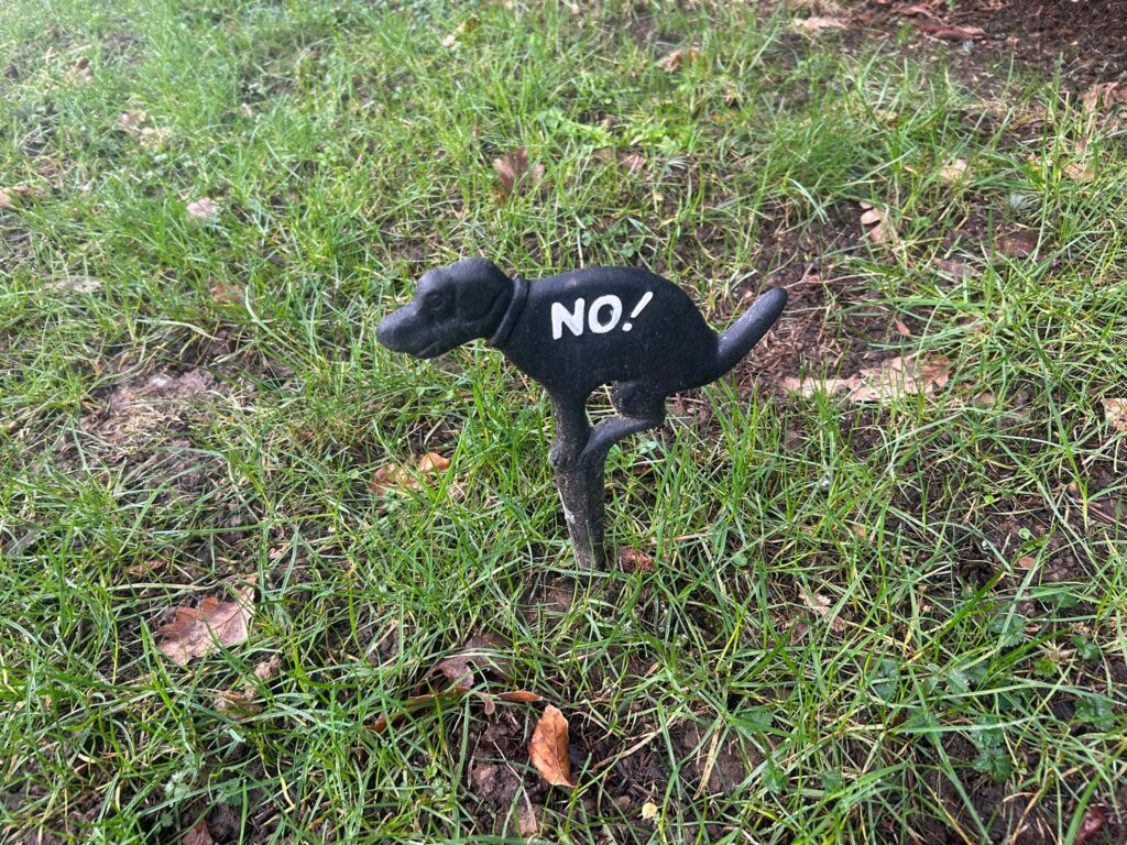 Time to curb the turd? Brussels' big problem with dog poo