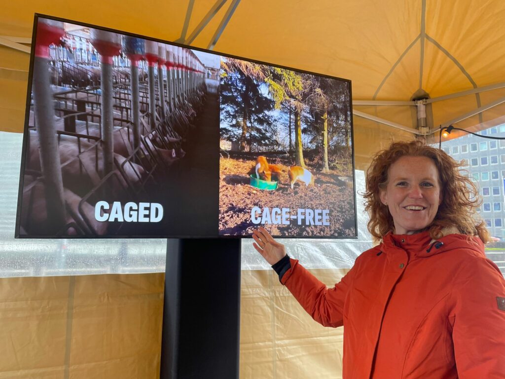 End of Cage Age: Will the EU ban caged animal farming by end 2026?