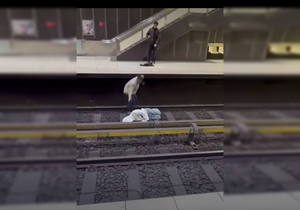 Metro driver stops just in time after man went down on tracks in Brussels