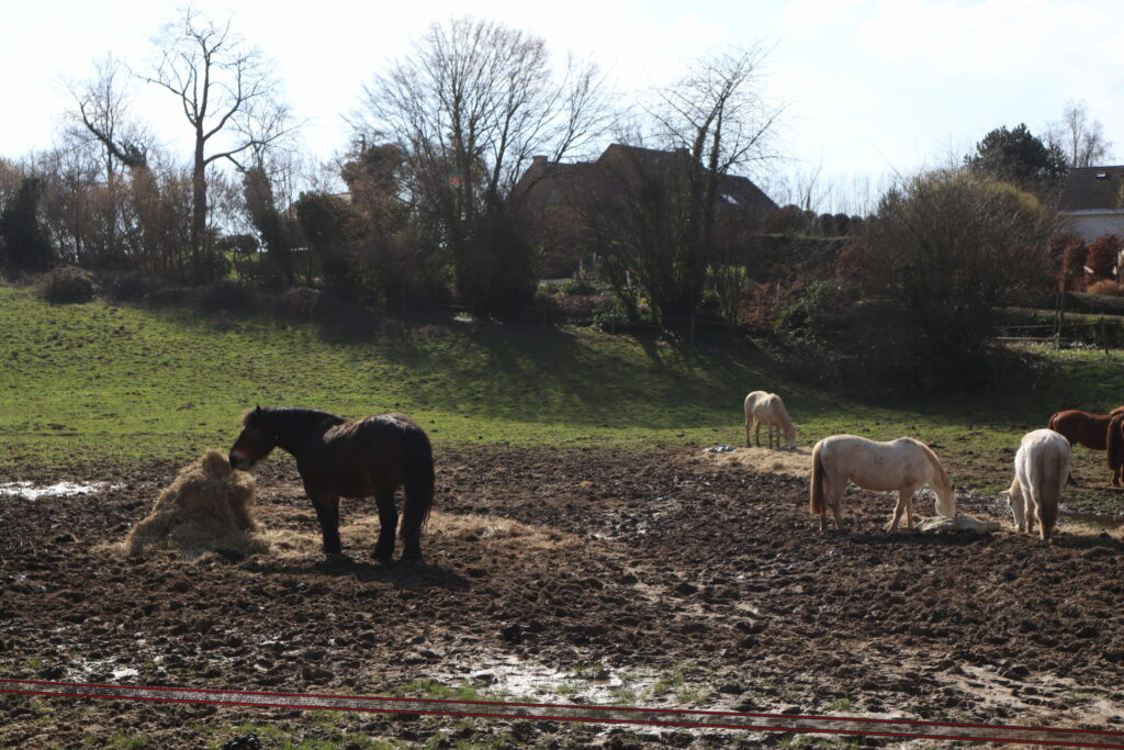 A day trip to the Brussels countryside: Why the Promenade Verte is the perfect spring outing