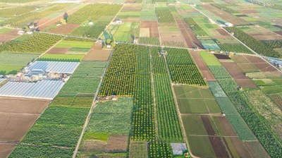 Farmers may benefit from climate resilient agriculture, EU agency says