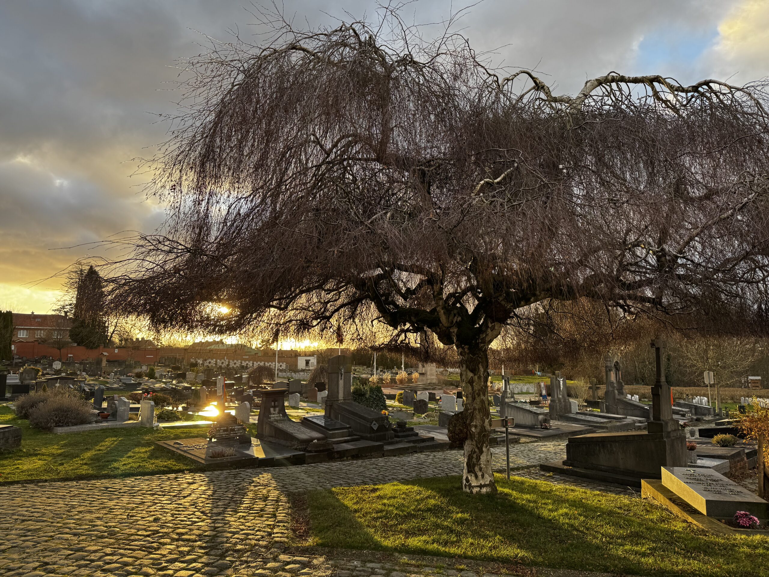 Crossroads of the living and the dead in Auderghem’s cemetery