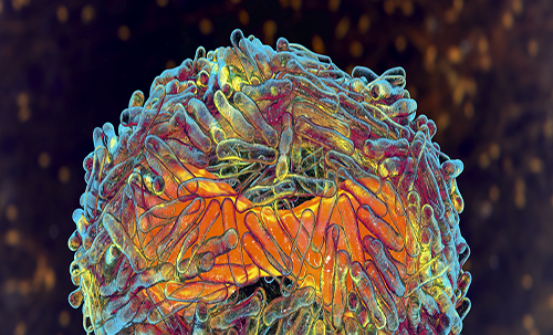 Sharp rise in mpox infections drives global transmission shift, EU agency warns