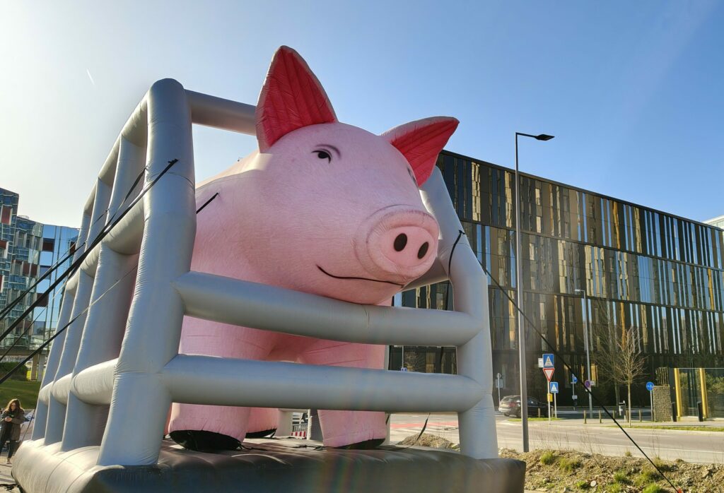 Civil society against the Commission: What happened to promise to ban caging of animals?