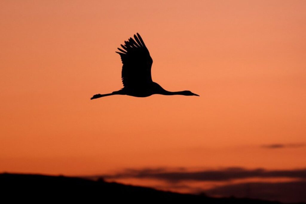 Up to 20°C on Tuesday