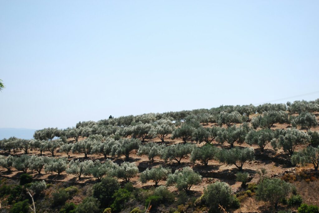 €200m green investment pact targets jobs, climate resilience in Greek farming