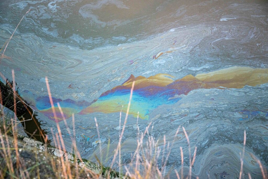 Wildlife experts unsure about impacts of Antwerp oil spill