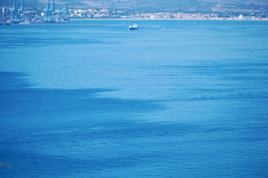 EU appoints new policy director in pivotal blue economy role