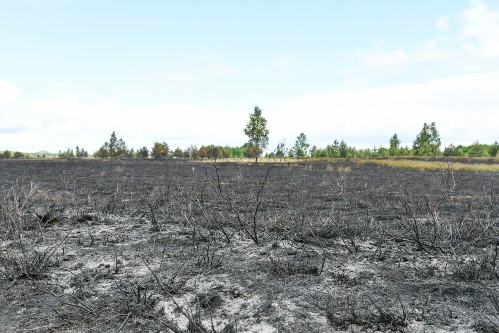 High risk of wildfires in Belgium