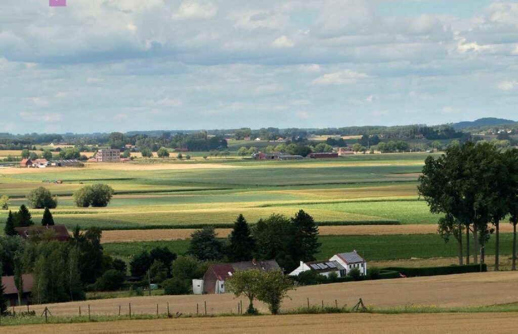 Fire alert in all Walloon provinces until Friday