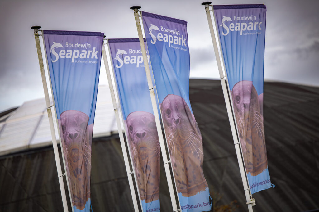 Seven people injured at Bruges theme park due to faulty ride