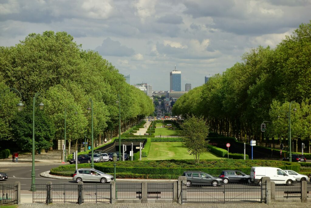 Person injured in attack in Elisabeth Park in Brussels