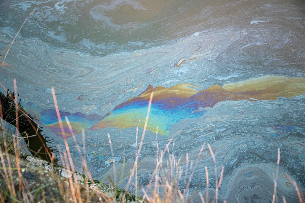 Oil spill from Port of Antwerp invades Zeeland nature reserves