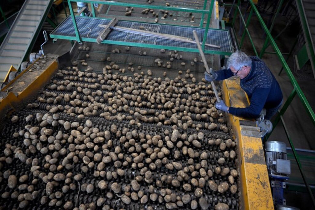 Belgian food sector sounds alarm oevr competitiveness