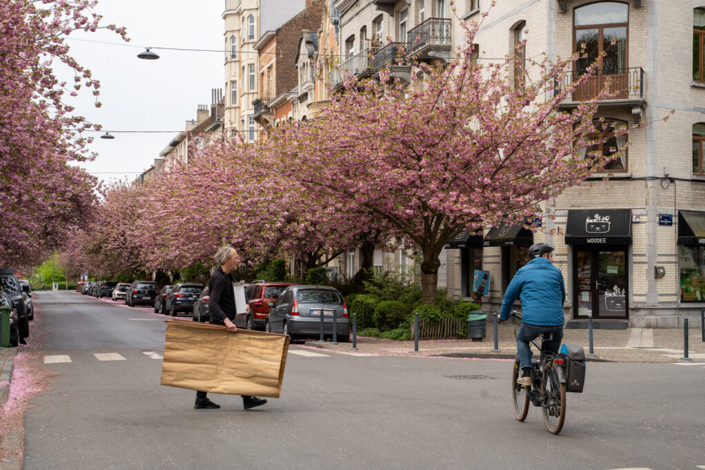 Schaerbeek's pink snow: Where to see the city’s beautiful cherry blossom in full bloom
