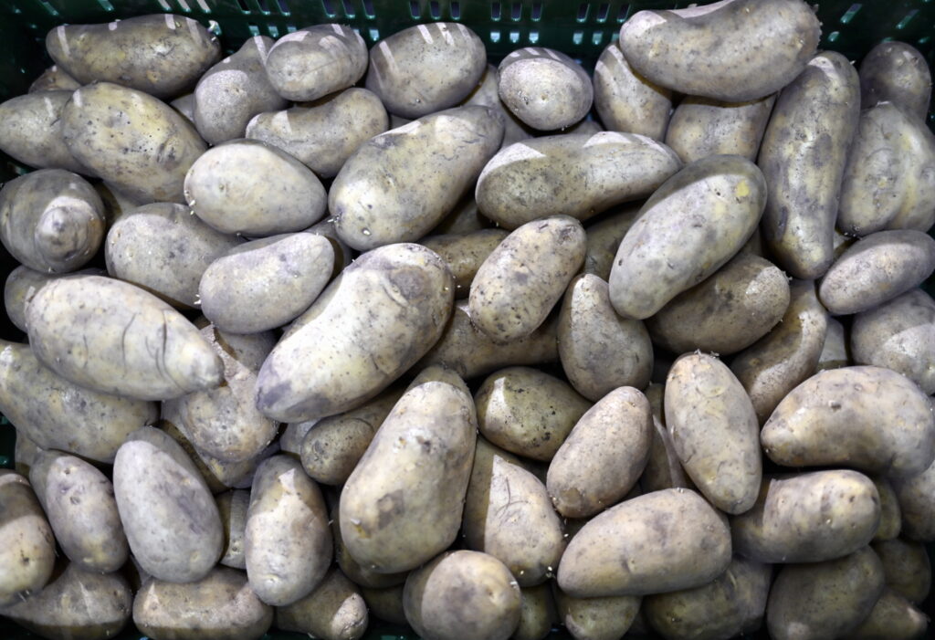 Flemish farmers struggling to sell produce reaches highest level in over a decade