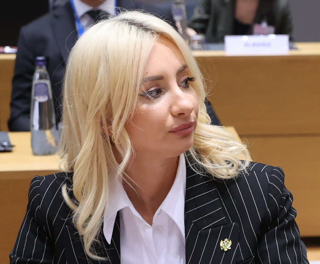 Montenegro's EU accession process moves a step further