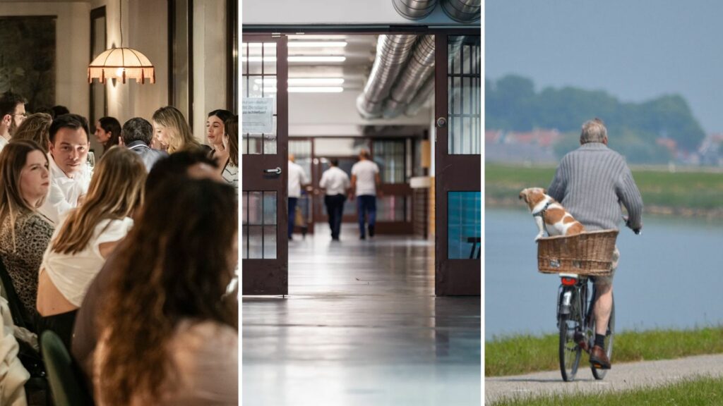 Belgium in Brief: Sex and violence