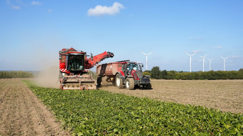 EU agri-food trade surplus grows as cocoa imports plunge 36% in value shift