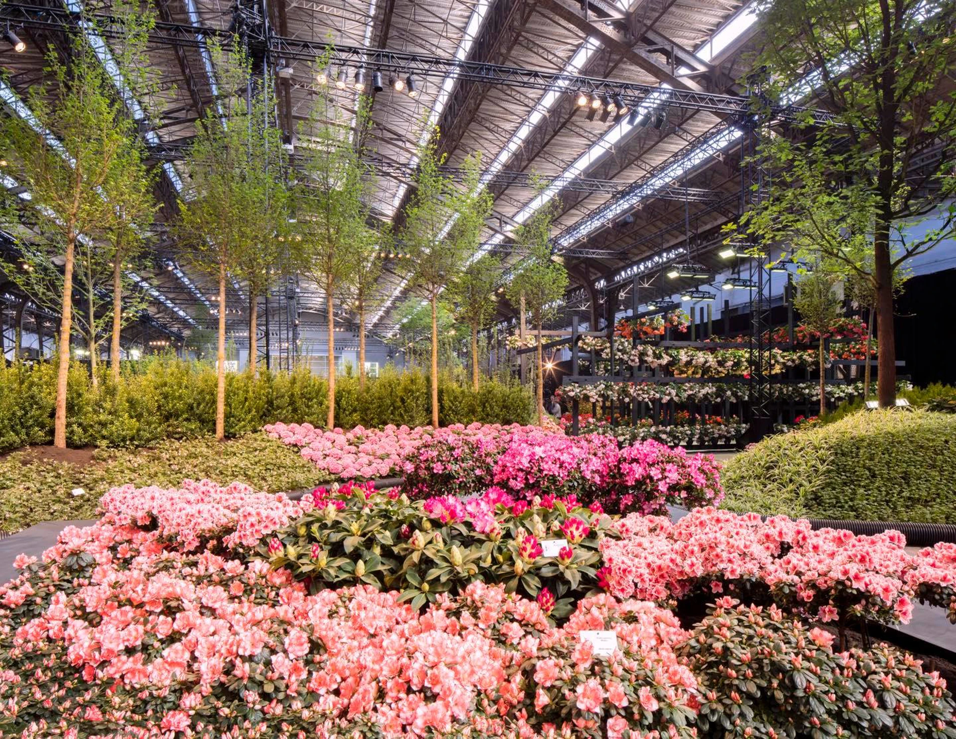 Flower power: Ghent's 200-year-old garden village returns