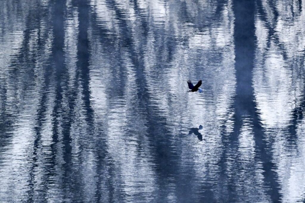 Clouds, winds and light showers this Friday