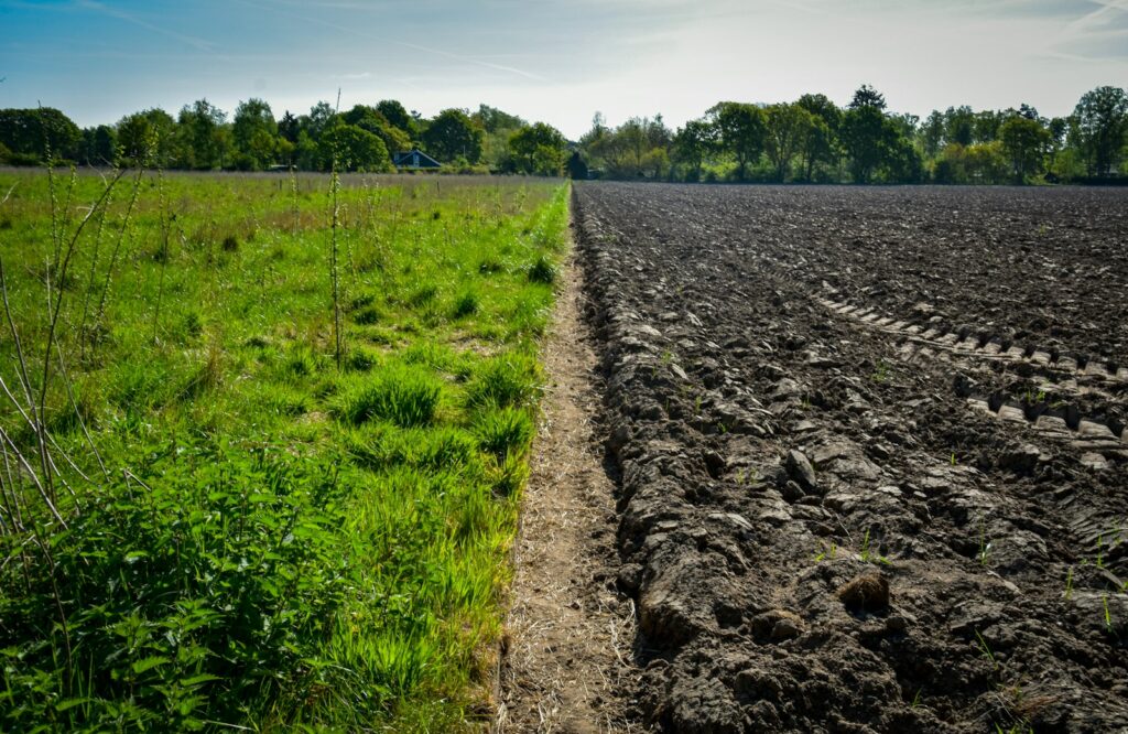 21 Croatians arrested over falsified soil tests to access EU farming funds