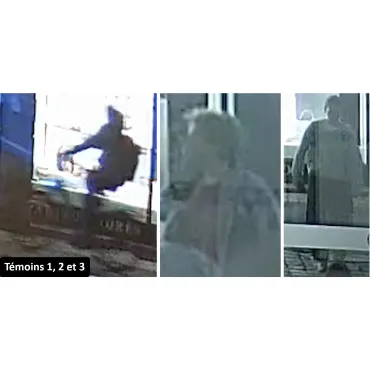 Federal police appeal after British man critically injured in Ghent brawl