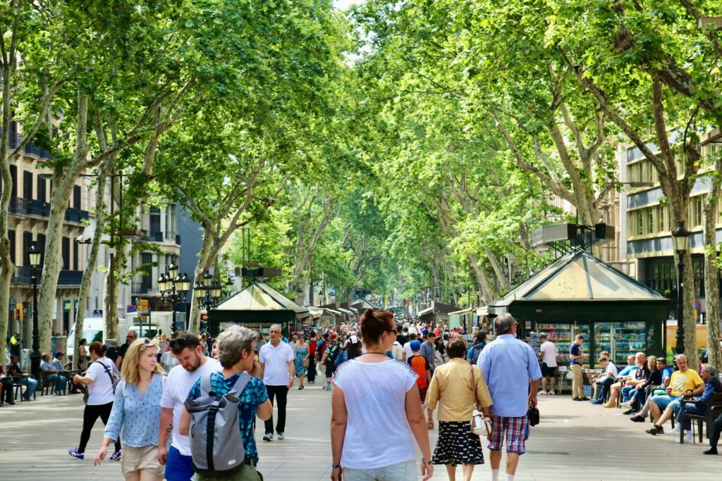 EU eyes input from youth as overtourism, accessibility divide Europe's travellers