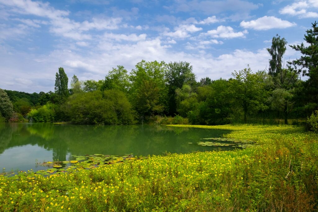 Citizens challenge EU to protect nature, tackle habitat fragmentation