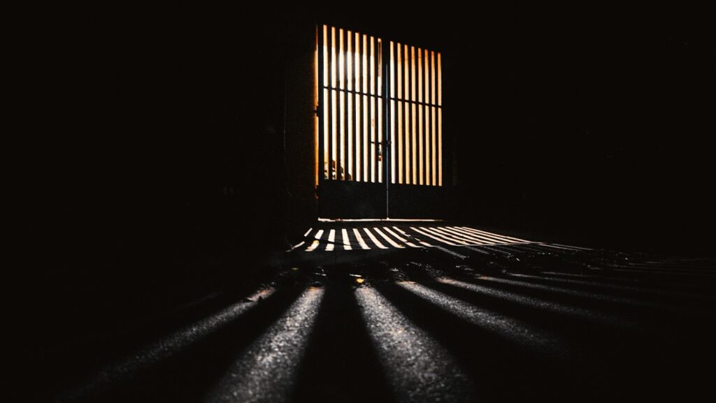 Terrorgram extremist sentenced in Denmark, but case heads to appeal