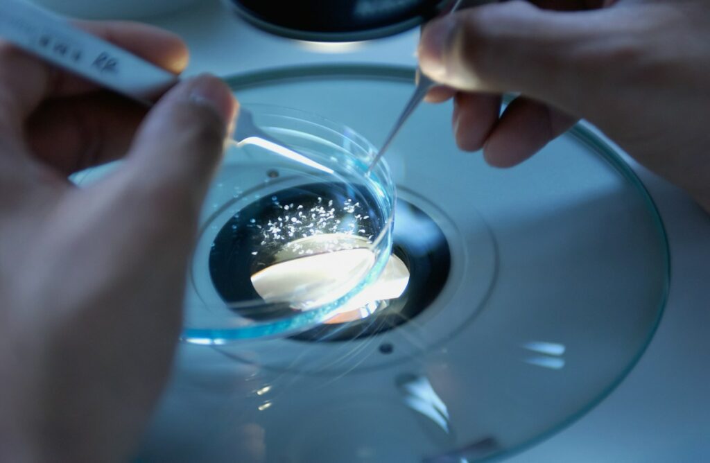 New EU report exposes trade-offs in boosting access to scientific research
