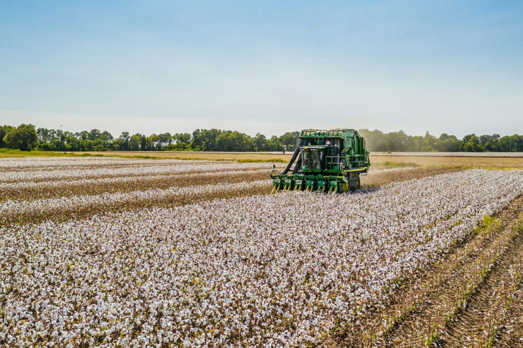 Turkmenistan’s cotton sector faces labour reform under EU-funded initiative