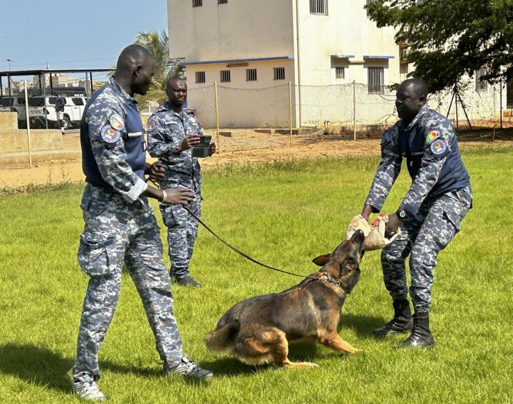 EU-backed training bolsters Senegal’s security against terrorist threats