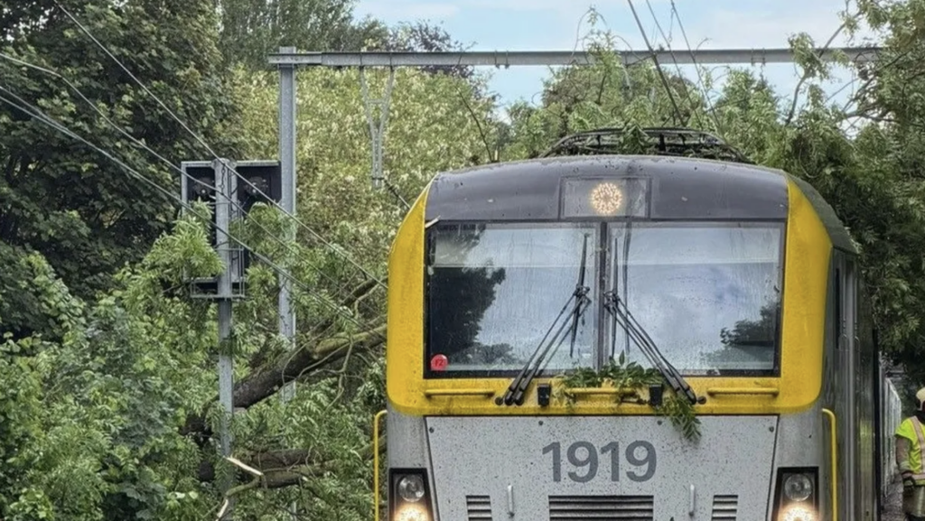 Nearly 500 passengers evacuated after tree falls on train in Uccle
