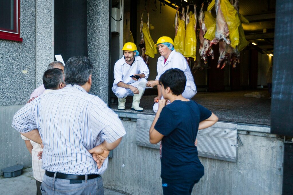 Eid al-Adha in Brussels: All you need to do know about the 'Feast of Sacrifice'