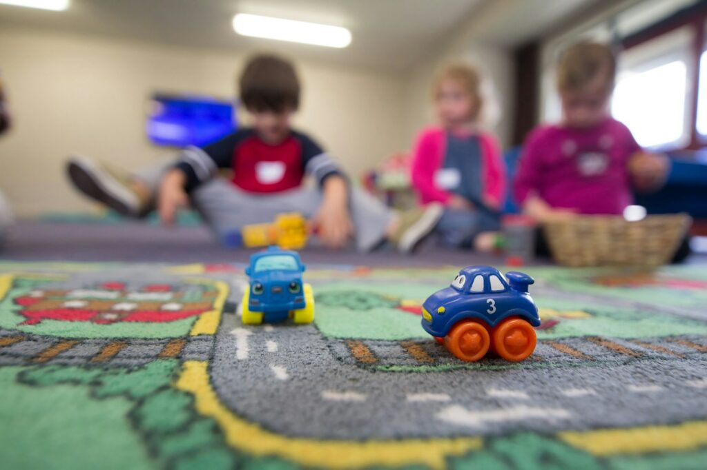 Poland probes large-scale EU funds fraud involving fake nurseries