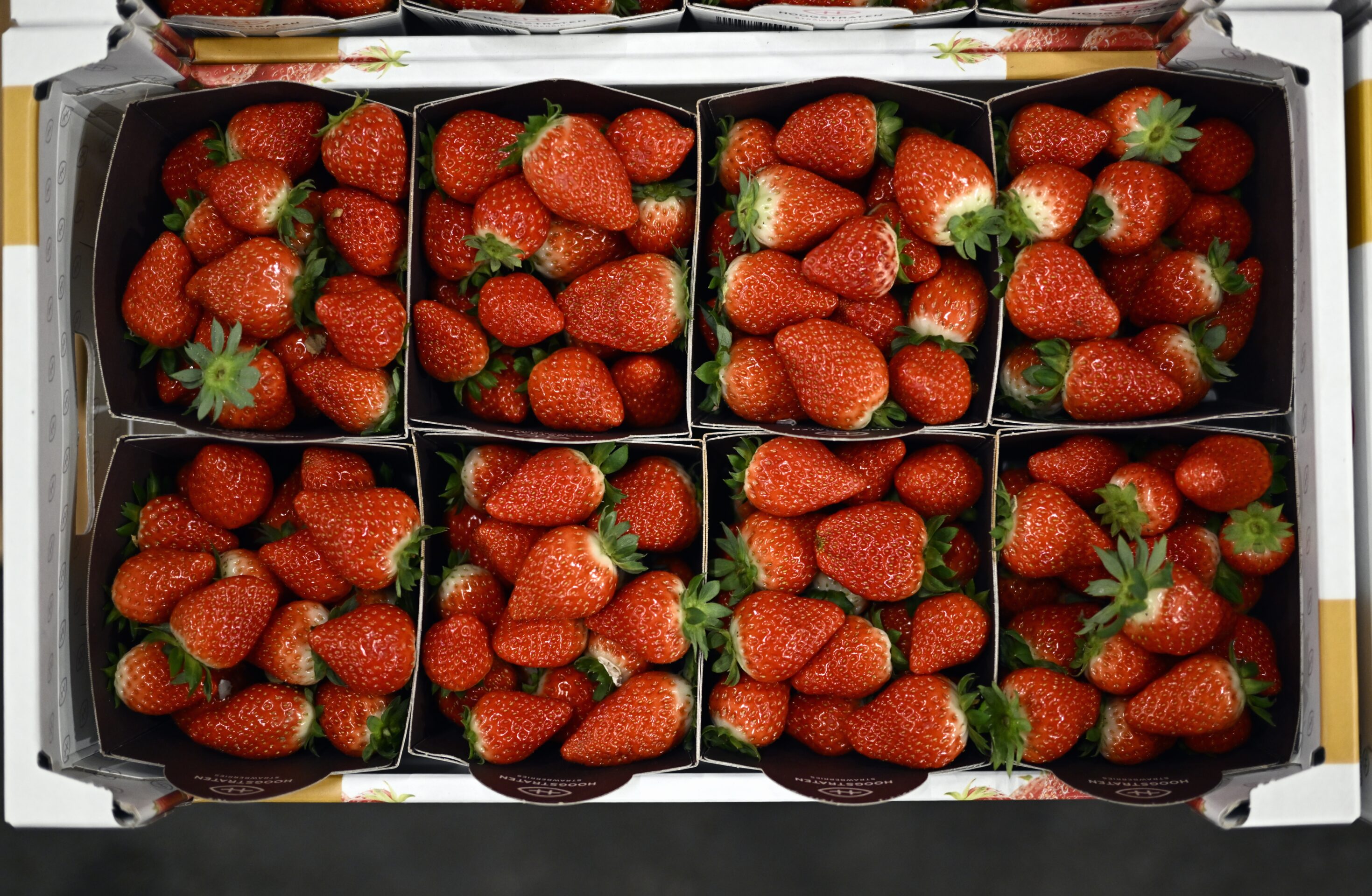 The spy who loved us: Why strawberries are the star of May